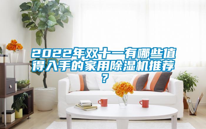 2022年雙十一有哪些值得入手的家用除濕機推薦？