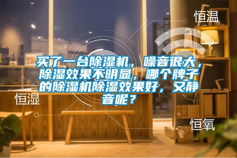 買了一臺除濕機，噪音很大，除濕效果不明顯，哪個牌子的除濕機除濕效果好，又靜音呢？