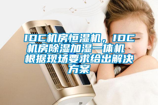 IDC機(jī)房恒濕機(jī)，IDC機(jī)房除濕加濕一體機(jī) 根據(jù)現(xiàn)場(chǎng)要求給出解決方案
