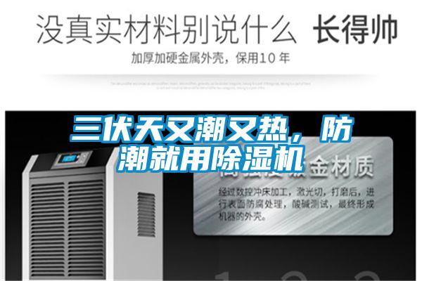 三伏天又潮又熱，防潮就用除濕機(jī)