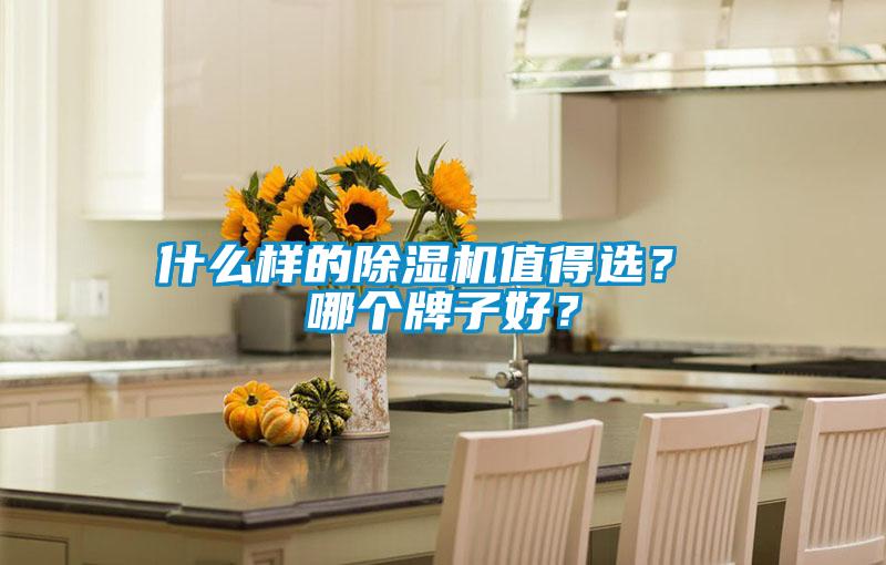 什么樣的除濕機(jī)值得選？ 哪個(gè)牌子好？
