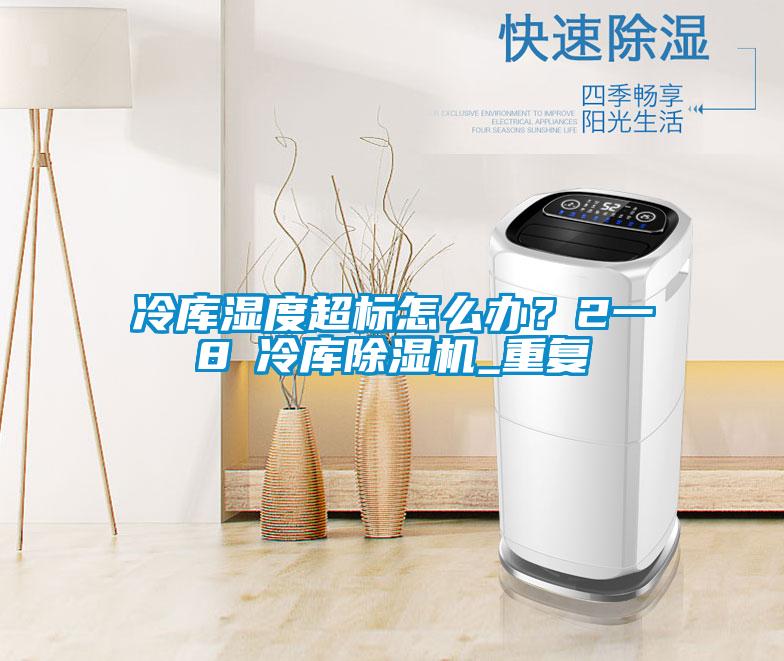 冷庫濕度超標(biāo)怎么辦？2一8℃冷庫除濕機(jī)_重復(fù)