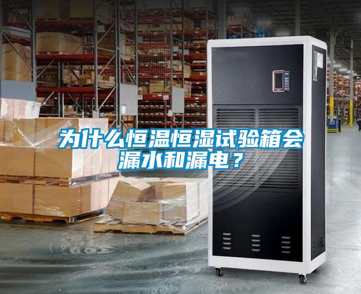 為什么恒溫恒濕試驗箱會漏水和漏電？