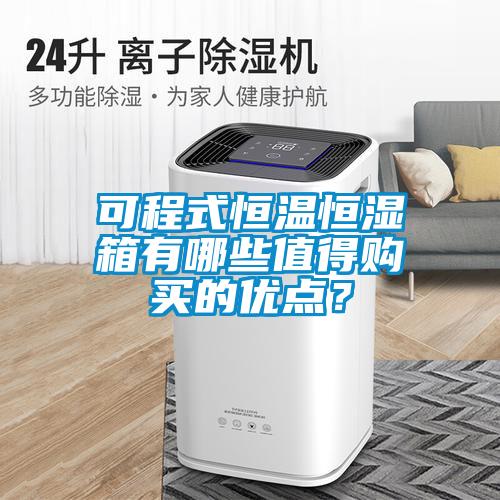 可程式恒溫恒濕箱有哪些值得購(gòu)買的優(yōu)點(diǎn)？