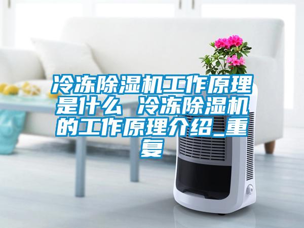 冷凍除濕機工作原理是什么 冷凍除濕機的工作原理介紹_重復(fù)