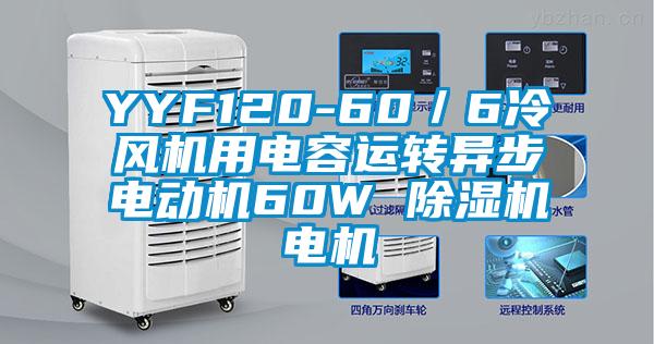 YYF120-60／6冷風(fēng)機(jī)用電容運(yùn)轉(zhuǎn)異步電動機(jī)60W 除濕機(jī)電機(jī)