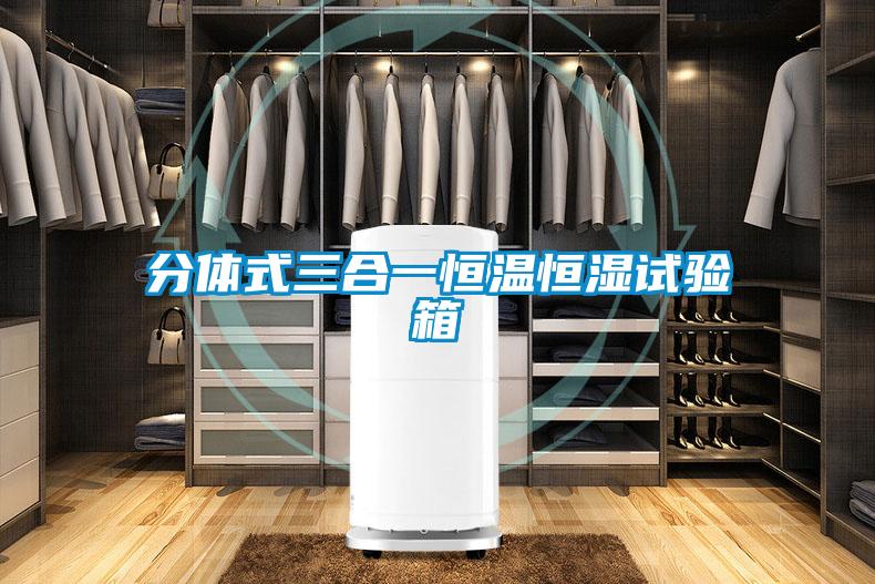分體式三合一恒溫恒濕試驗(yàn)箱
