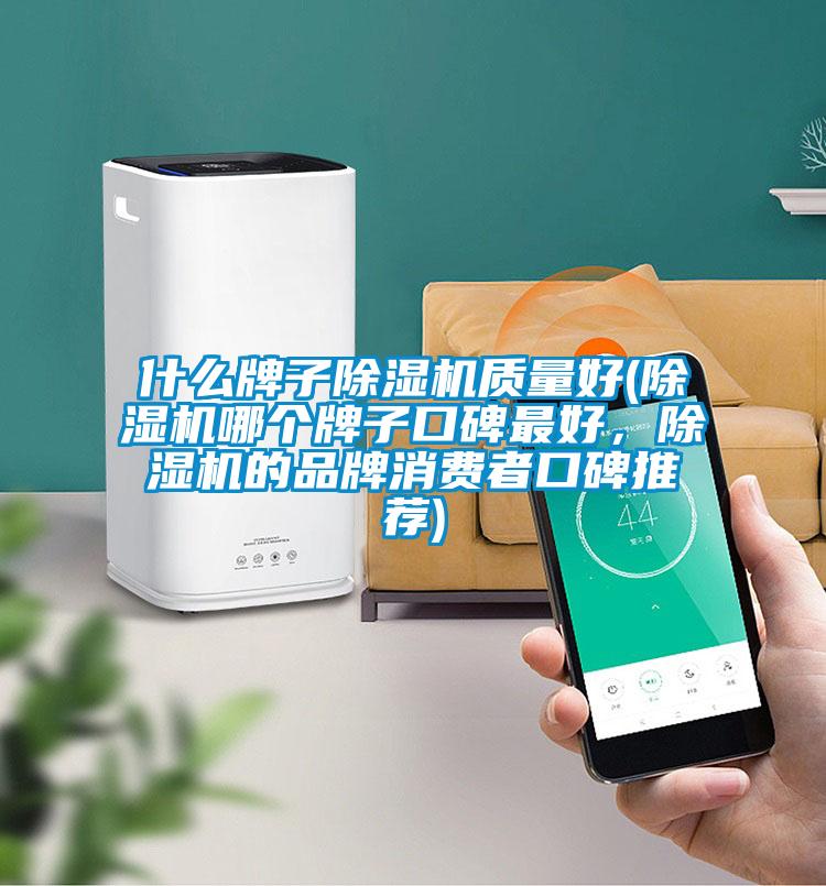 什么牌子除濕機(jī)質(zhì)量好(除濕機(jī)哪個(gè)牌子口碑最好，除濕機(jī)的品牌消費(fèi)者口碑推薦)