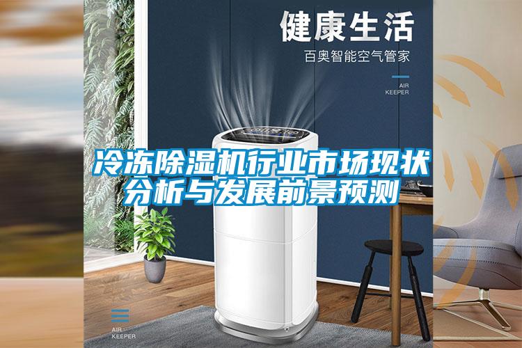 冷凍除濕機行業(yè)市場現(xiàn)狀分析與發(fā)展前景預(yù)測