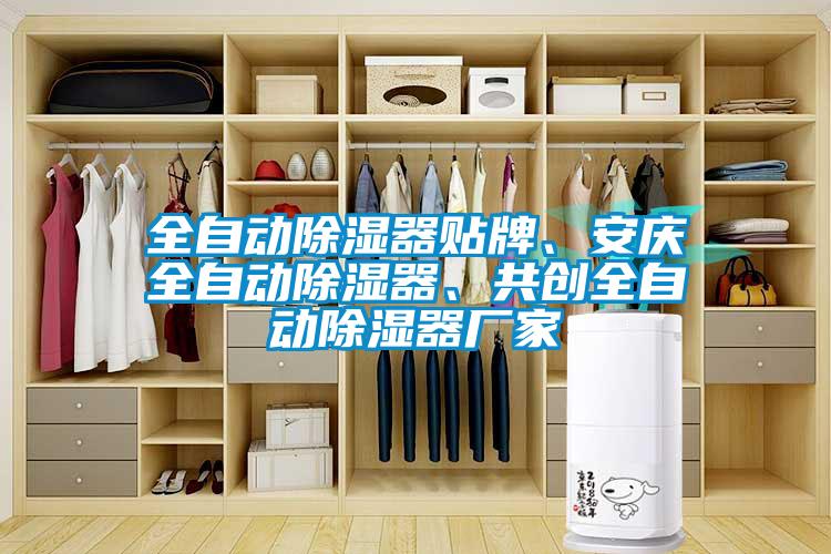 全自動(dòng)除濕器貼牌、安慶全自動(dòng)除濕器、共創(chuàng)全自動(dòng)除濕器廠家