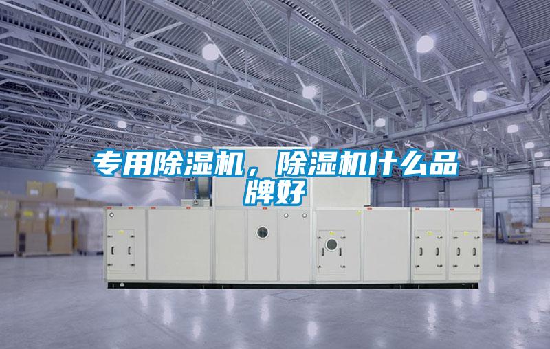 專用除濕機(jī)，除濕機(jī)什么品牌好
