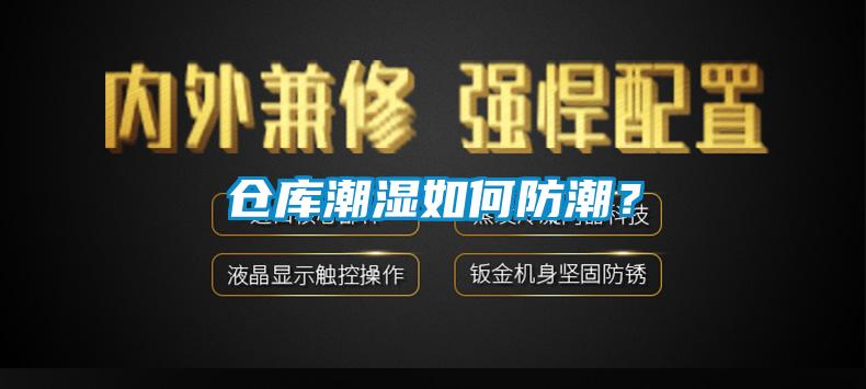 倉(cāng)庫(kù)潮濕如何防潮？