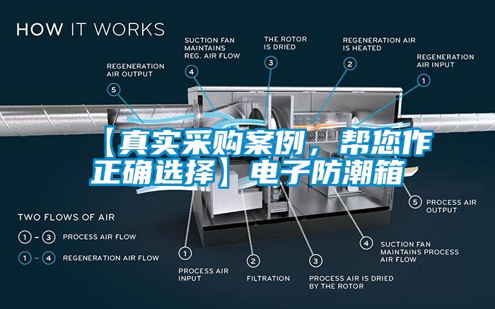 【真實(shí)采購案例，幫您作正確選擇】電子防潮箱
