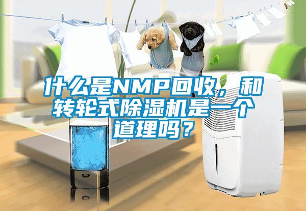 什么是NMP回收，和轉(zhuǎn)輪式除濕機(jī)是一個道理嗎？