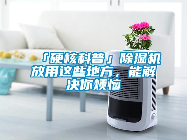 「硬核科普」除濕機放用這些地方，能解決你煩惱