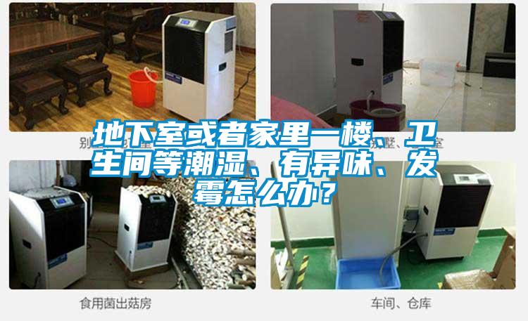 地下室或者家里一樓、衛(wèi)生間等潮濕、有異味、發(fā)霉怎么辦？