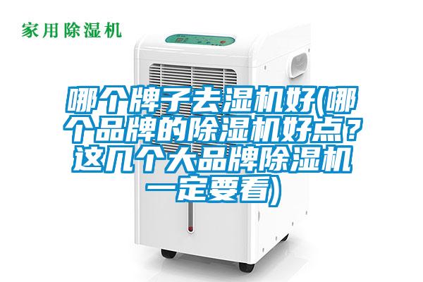 哪個牌子去濕機好(哪個品牌的除濕機好點？這幾個大品牌除濕機一定要看)