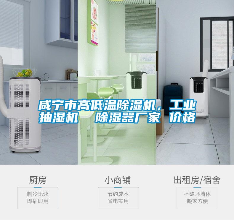咸寧市高低溫除濕機，工業(yè)抽濕機  除濕器廠家 價格