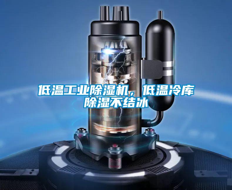 低溫工業(yè)除濕機(jī)，低溫冷庫除濕不結(jié)冰