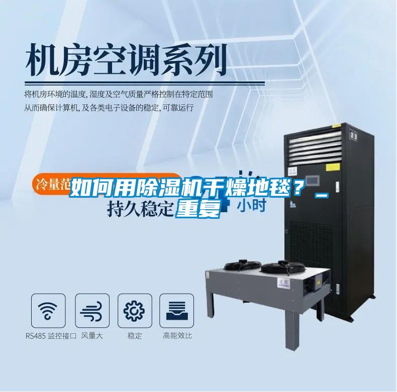 如何用除濕機干燥地毯？_重復