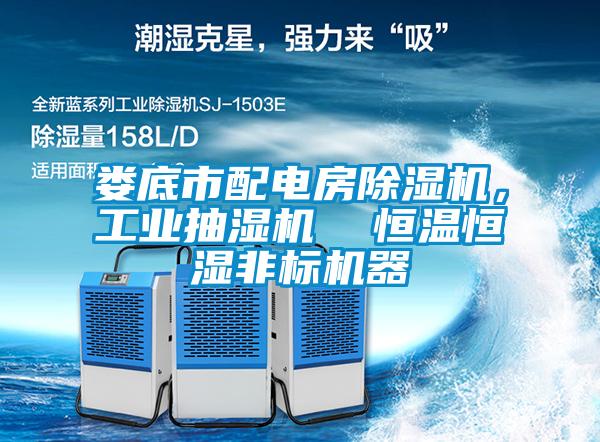 婁底市配電房除濕機(jī)，工業(yè)抽濕機(jī)  恒溫恒濕非標(biāo)機(jī)器