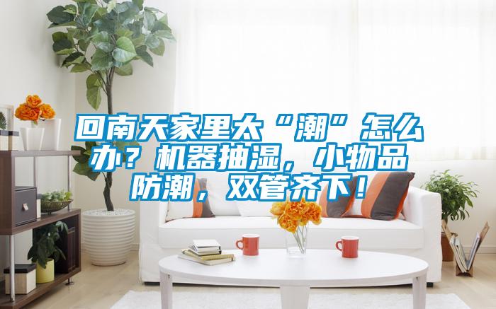 回南天家里太“潮”怎么辦？機器抽濕，小物品防潮，雙管齊下！