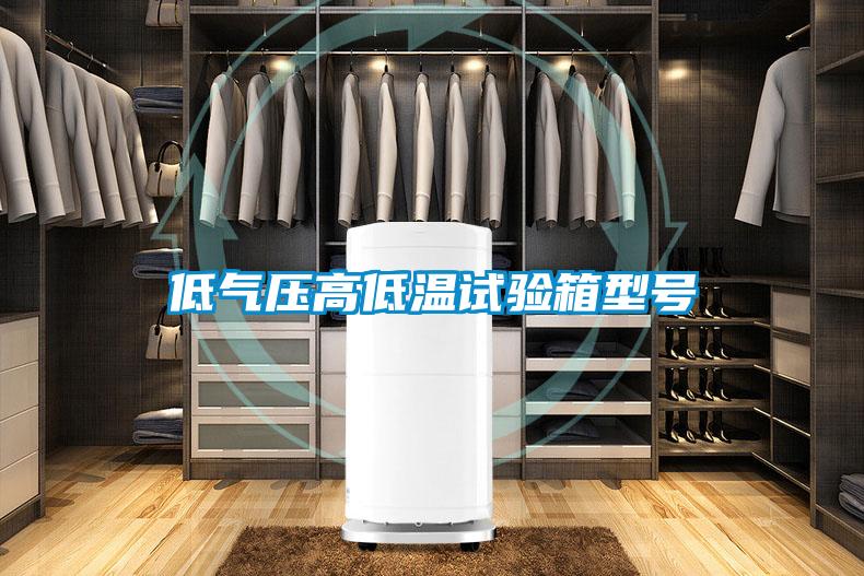 低氣壓高低溫試驗(yàn)箱型號(hào)