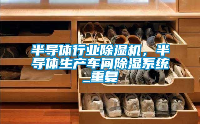 半導(dǎo)體行業(yè)除濕機，半導(dǎo)體生產(chǎn)車間除濕系統(tǒng)_重復(fù)