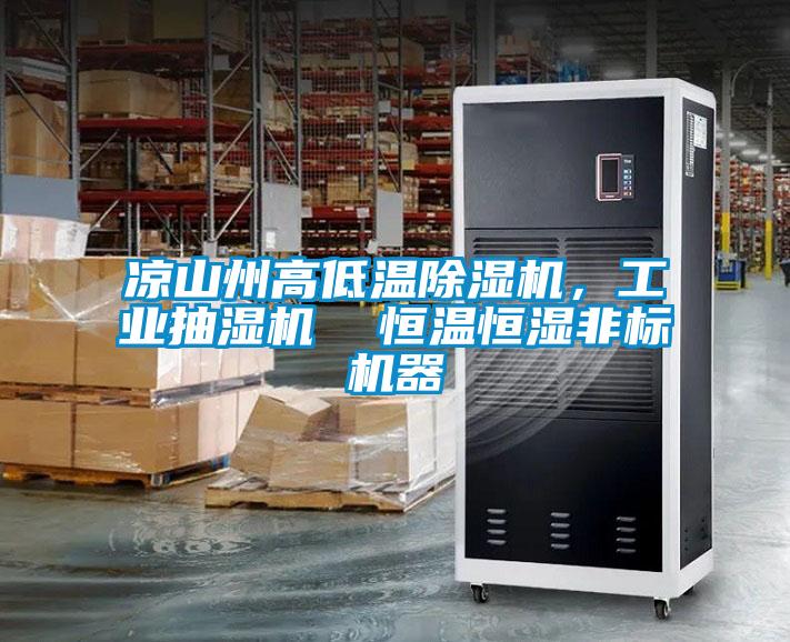 涼山州高低溫除濕機(jī)，工業(yè)抽濕機(jī)  恒溫恒濕非標(biāo)機(jī)器