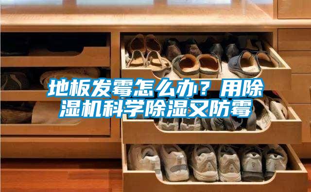 地板發(fā)霉怎么辦？用除濕機(jī)科學(xué)除濕又防霉