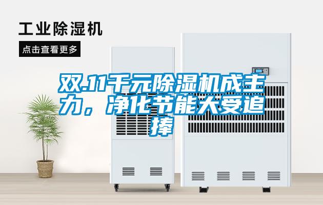 雙.11千元除濕機(jī)成主力，凈化節(jié)能大受追捧