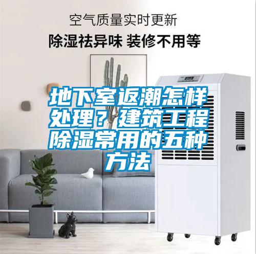 地下室返潮怎樣處理？建筑工程除濕常用的五種方法