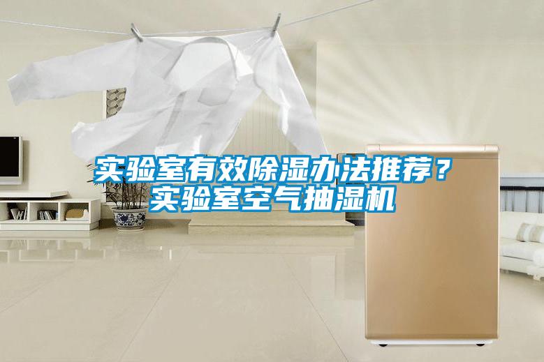 實驗室有效除濕辦法推薦？實驗室空氣抽濕機