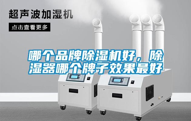 哪個品牌除濕機好，除濕器哪個牌子效果最好