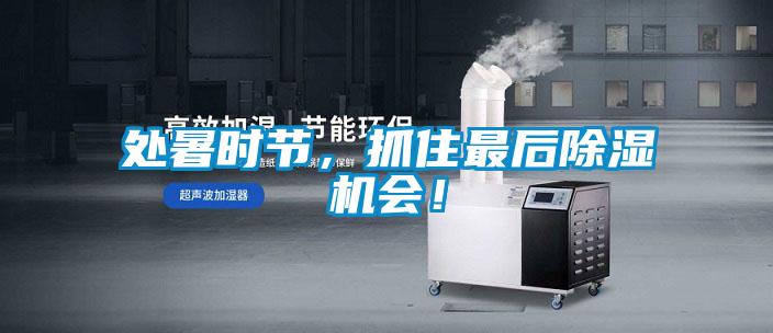 處暑時節(jié)，抓住最后除濕機會！