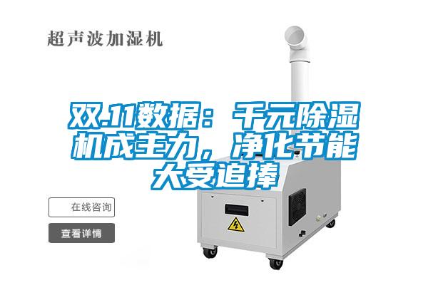 雙.11數(shù)據(jù)：千元除濕機(jī)成主力，凈化節(jié)能大受追捧