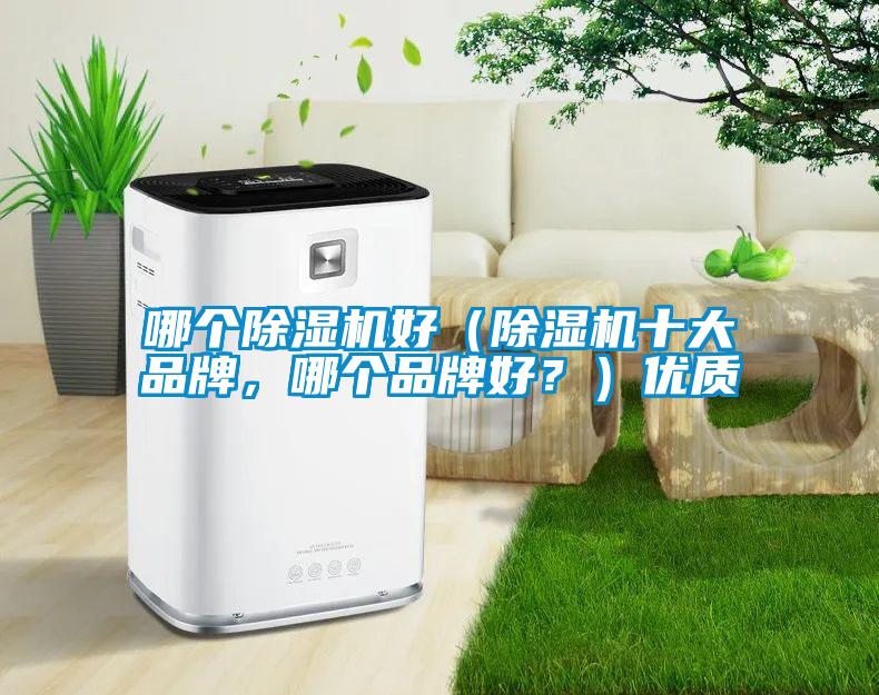 哪個(gè)除濕機(jī)好（除濕機(jī)十大品牌，哪個(gè)品牌好？）優(yōu)質(zhì)