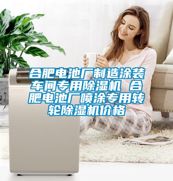 合肥電池廠制造涂裝車間專用除濕機 合肥電池廠噴涂專用轉(zhuǎn)輪除濕機價格