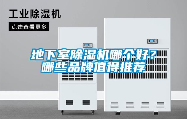 地下室除濕機哪個好？哪些品牌值得推薦