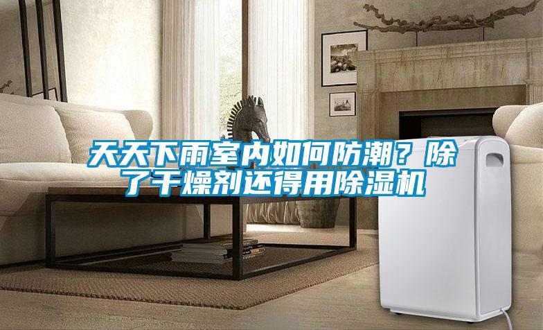 天天下雨室內(nèi)如何防潮？除了干燥劑還得用除濕機(jī)
