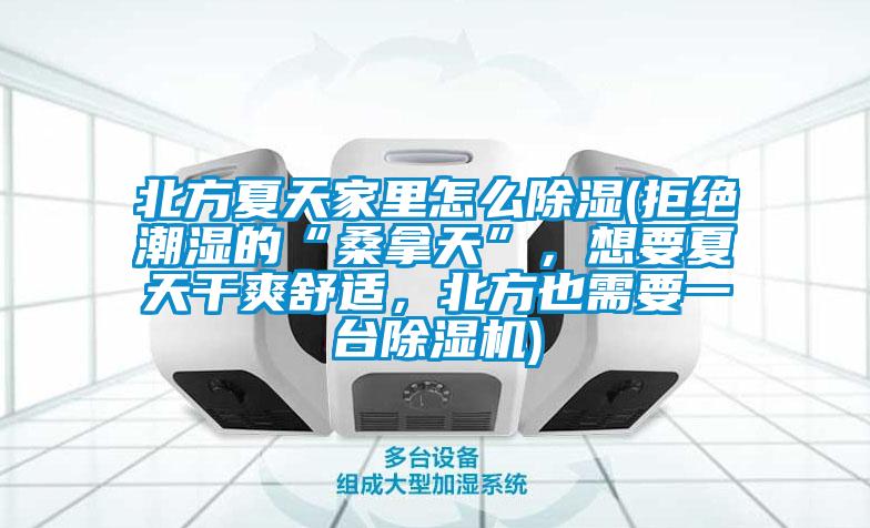 北方夏天家里怎么除濕(拒絕潮濕的“桑拿天”，想要夏天干爽舒適，北方也需要一臺(tái)除濕機(jī))