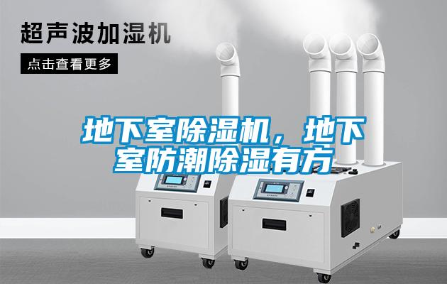 地下室除濕機(jī)，地下室防潮除濕有方