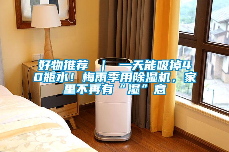 好物推薦 ｜ 一天能吸掉40瓶水！梅雨季用除濕機，家里不再有“濕”意