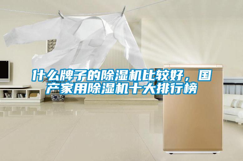 什么牌子的除濕機(jī)比較好，國產(chǎn)家用除濕機(jī)十大排行榜