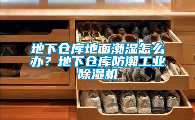 地下倉(cāng)庫(kù)地面潮濕怎么辦？地下倉(cāng)庫(kù)防潮工業(yè)除濕機(jī)