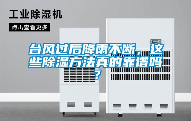 臺風過后降雨不斷，這些除濕方法真的靠譜嗎？