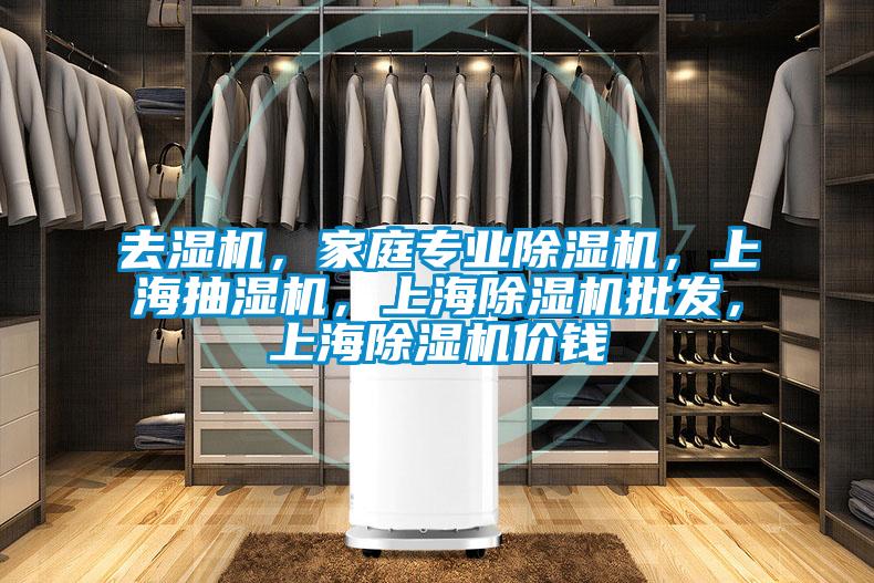 去濕機，家庭專業(yè)除濕機，上海抽濕機，上海除濕機批發(fā)，上海除濕機價錢