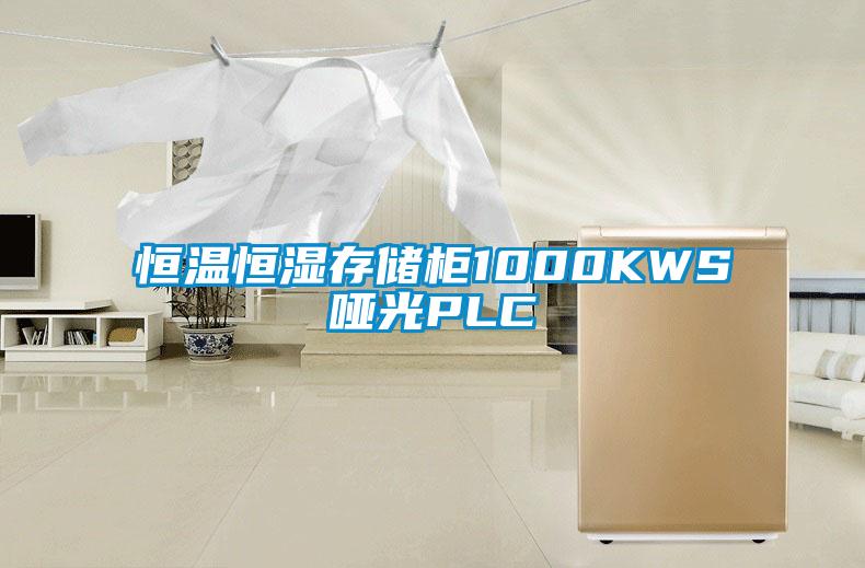 恒溫恒濕存儲(chǔ)柜1000KWS啞光PLC