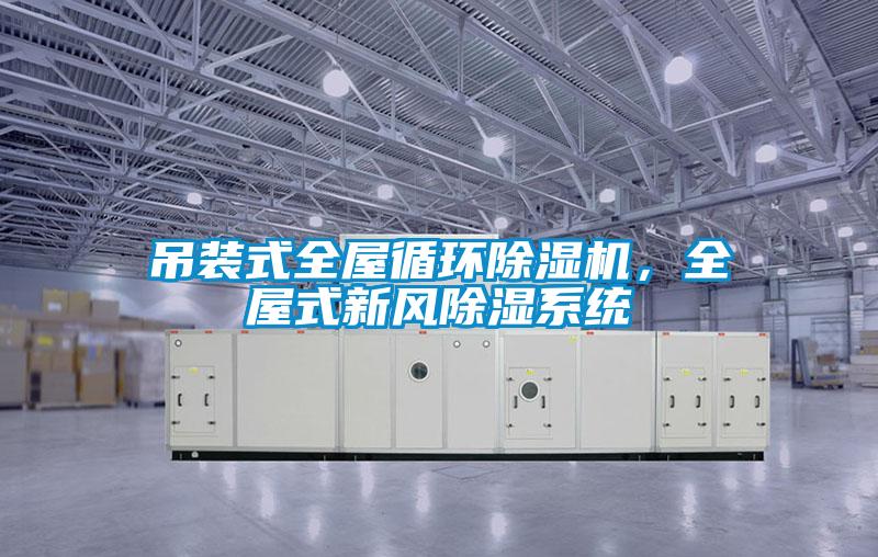吊裝式全屋循環(huán)除濕機(jī)，全屋式新風(fēng)除濕系統(tǒng)