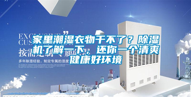 家里潮濕衣物干不了？除濕機了解一下，還你一個清爽健康好環(huán)境